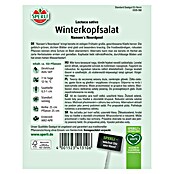 Sperli Gemüsesamen Winterkopfsalat (Lactuca sativa 'Nansen's Noordpool', Erntezeit: März) | BAUHAUS