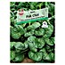 Sperli Gemüsesamen Pak Choi Tatsoi 