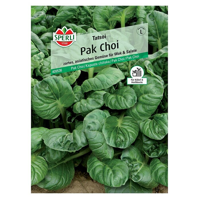 Sperli Gemüsesamen Pak Choi Tatsoi (Brassica rapa var. chinensis 'Tatsoi', Erntezeit: August) | BAUHAUS