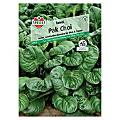 Sperli Gemüsesamen Pak Choi Tatsoi (Brassica rapa var. chinensis 'Tatsoi', Erntezeit: August) | BAUHAUS