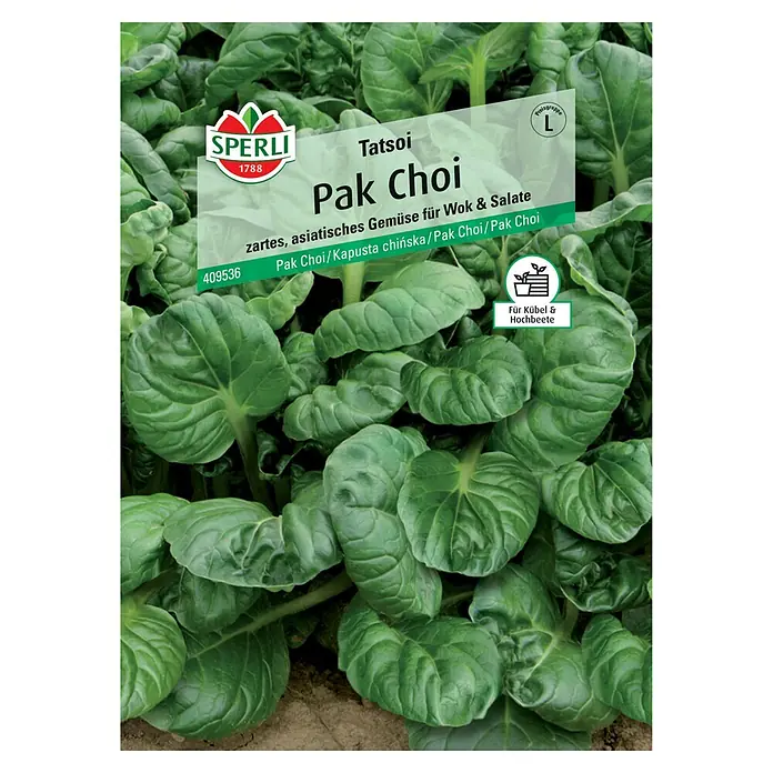 Sperli Gemüsesamen Pak Choi Tatsoi - Brassica rapa var. chinensis 'Tatsoi', Erntezeit: August - Abbildung von Sperli Tatsoi Pak Choi Samen, einer zarten, asiatischen Gemüsesorte, ideal für Wokgerichte und Salate.