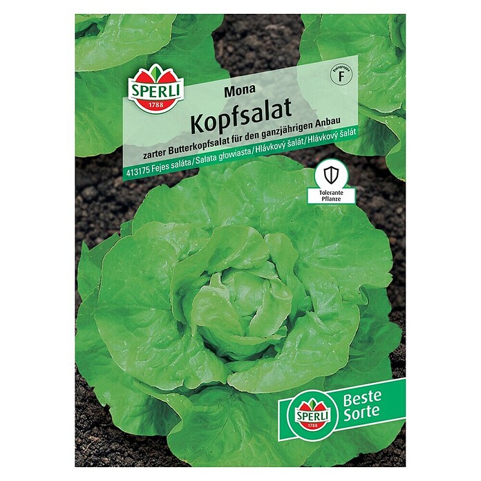 Sperli Salatsamen Kopfsalat Mona (Lactuca sativa 'Mona') | BAUHAUS