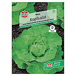 Sperli Salatsamen Kopfsalat Mona (Lactuca sativa 'Mona')