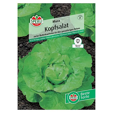 Sperli  Salatsamen Kopfsalat Mona