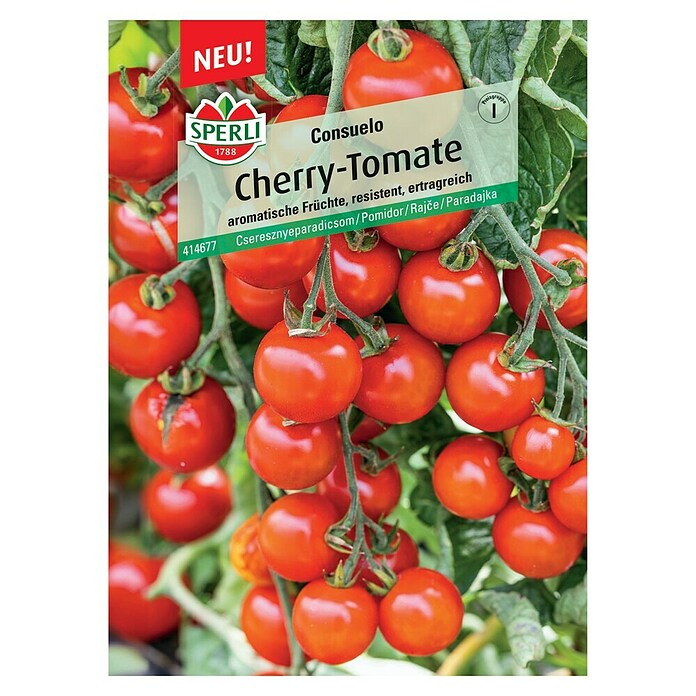 Sperli Gemüsesamen Cherry-Tomate Consuela (Solanum lycopersicum 'Consuela') | BAUHAUS