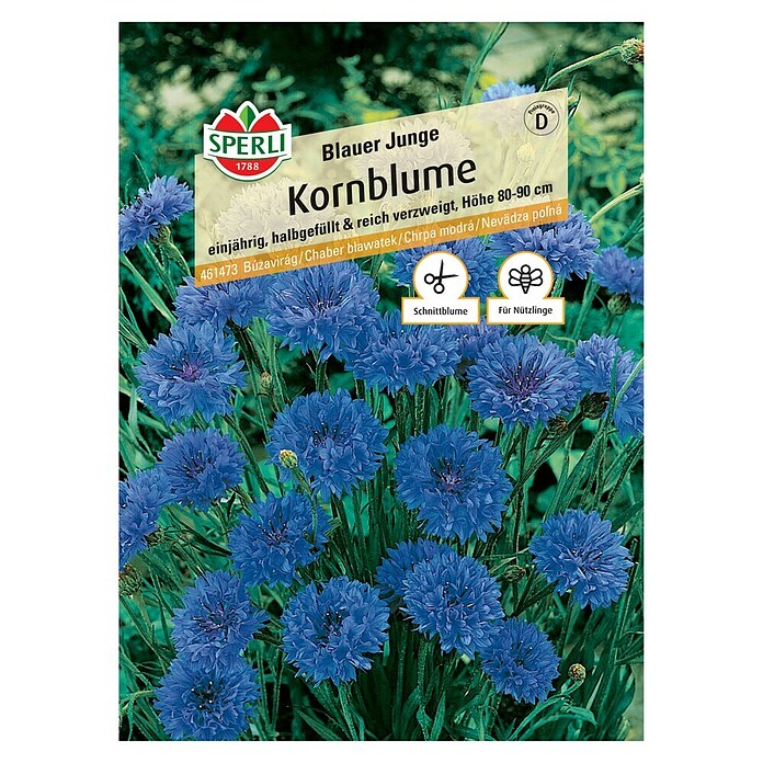 Sperli Blumensamen Kornblume Blauer Junge (Centaurea cyanus, Blau) | BAUHAUS