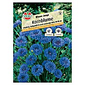 Sperli Blumensamen Kornblume Blauer Junge (Centaurea cyanus, Blau) | BAUHAUS