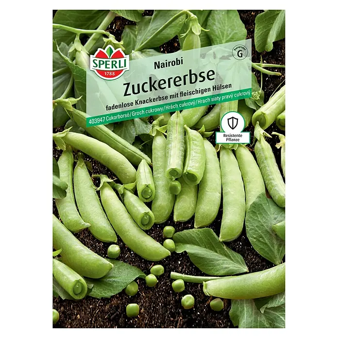 Sperli Gemüsesamen Zuckererbse Nairobi - Pisum sativum 'Nairobi', Erntezeit: Juni - Nairobi Zuckererbse Samenpackung von Sperli. Knackige, fadenlose Erbsen mit fleischigen Hülsen für den Anbau im eigenen Garten.