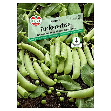 Sperli  Gemüsesamen Zuckererbse Nairobi