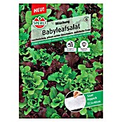 Sperli Salatsamenmischung Babyleafsalat (Cavendish, Diablotin, Oaking, Greenet, Erntezeit: Juli) | BAUHAUS