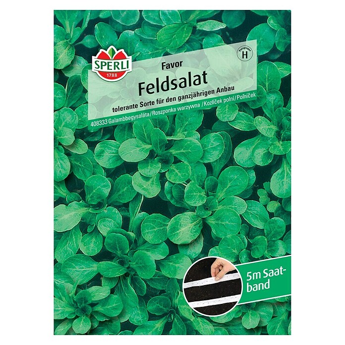Sperli Feldsalat Favor (Valerianella 'Favor', Erntezeit: Ganzjährig) | BAUHAUS