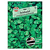 Sperli Feldsalat Favor (Valerianella 'Favor', Erntezeit: Ganzjährig) | BAUHAUS