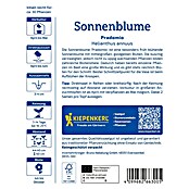 Kiepenkerl Profi-Line Blumensamen Sonnenblume Pradomio (Helianthus annuus, Gelb) | BAUHAUS