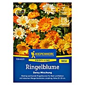 Kiepenkerl Profi-Line Blumensamen Ringelblume Daisy (Calendula officinalis, Inhalt reicht für ca. 40 Pflanzen, Gelb) | BAUHAUS