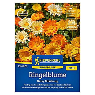 Kiepenkerl Profi-Line Blumensamen Ringelblume Daisy (Calendula officinalis, Inhalt reicht für ca. 40 Pflanzen, Gelb)