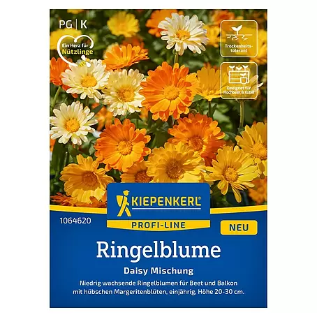 Kiepenkerl Profi-Line Blumensamen Ringelblume Daisy
