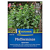 Kiepenkerl Profi-Line Kräutersamen Pfefferminze Spearmint (Mentha spicata, Saatzeit: März, Erntezeit: Juni) | BAUHAUS