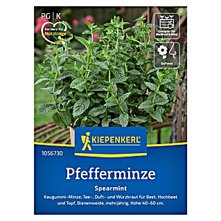 Kiepenkerl Profi-Line Kräutersamen Pfefferminze (Mentha spicata, Saatzeit: März, Erntezeit: Juni)