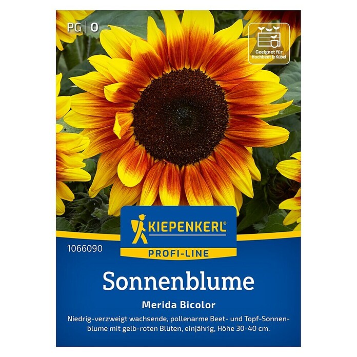 Kiepenkerl Profi-Line Blumensamen Sonnenblume Merida Bicolor (Helianthus annuus, Mehrfarbig) | BAUHAUS
