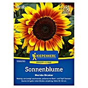 Kiepenkerl Profi-Line Blumensamen Sonnenblume Merida Bicolor (Helianthus annuus, Mehrfarbig) | BAUHAUS