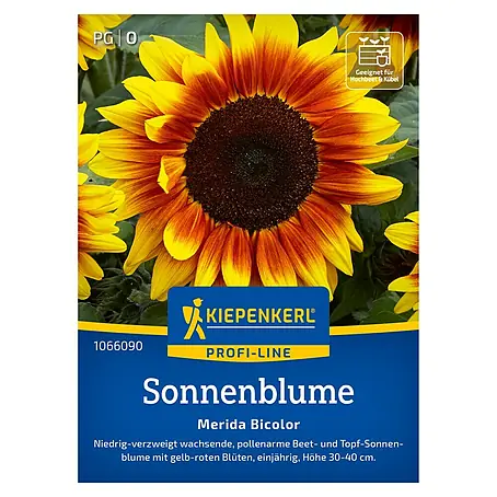 Kiepenkerl Profi-Line Blumensamen Sonnenblume Merida Bicolor