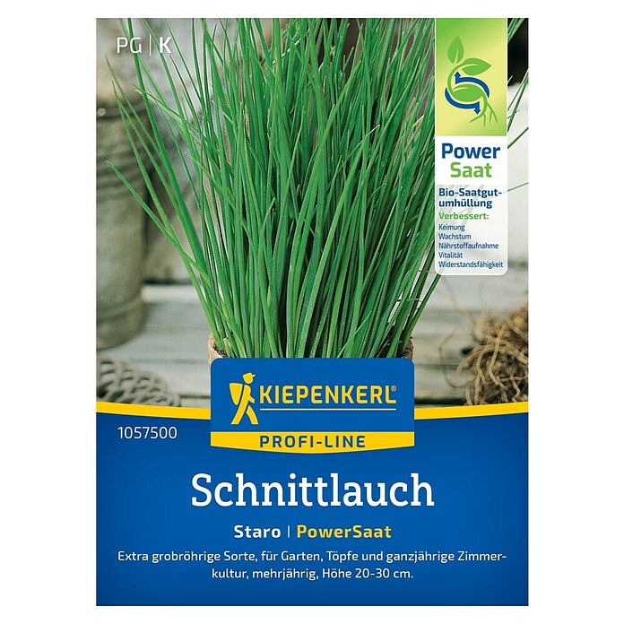 Kiepenkerl Profi-Line Kräutersamen Schnittlauch Staro PowerSaat (Allium schoenoprasum, Saatzeit: April, Erntezeit: Ganzjährig) | BAUHAUS