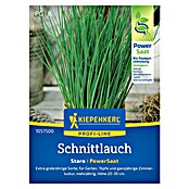 Kiepenkerl Profi-Line Kräutersamen Schnittlauch Staro PowerSaat (Allium schoenoprasum, Saatzeit: April, Erntezeit: Ganzjährig) | BAUHAUS