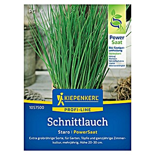 Kiepenkerl Profi-Line Kräutersamen Schnittlauch Staro PowerSaat (Allium schoenoprasum, Saatzeit: April, Erntezeit: Ganzjährig)