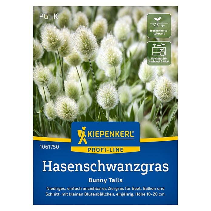 Kiepenkerl Blumensamen Hasenschwanzgras Bunny Tails (Lagurus ovatus) | BAUHAUS