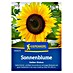 Kiepenkerl Blumensamen Sonnenblume 