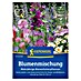 Kiepenkerl Profi-Line Blumensamenmischung Bienenfutterpflanze 