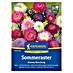 Kiepenkerl Profi-Line Blumensamen Sommeraster 