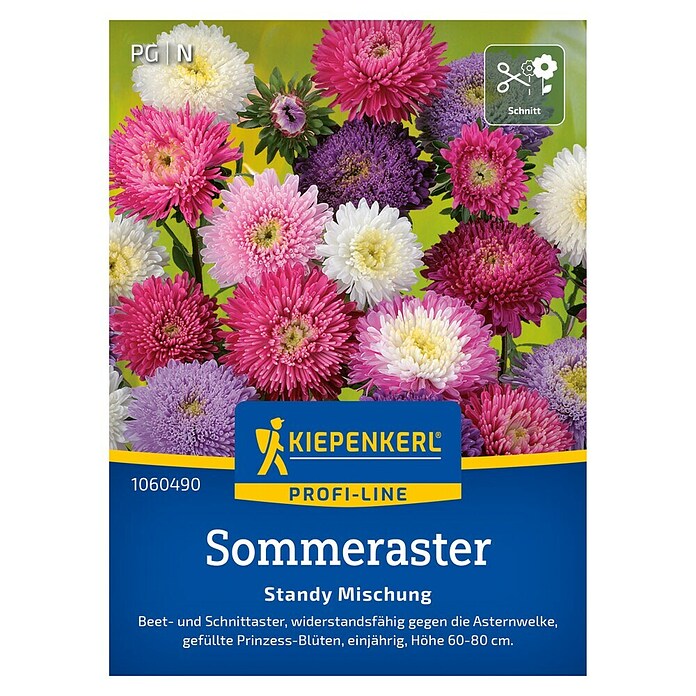 Kiepenkerl Profi-Line Blumensamen Sommeraster (Callistephus chinensis, Mehrfarbig) | BAUHAUS
