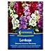 Kiepenkerl Profi-Line Blumensamen Levkoje 