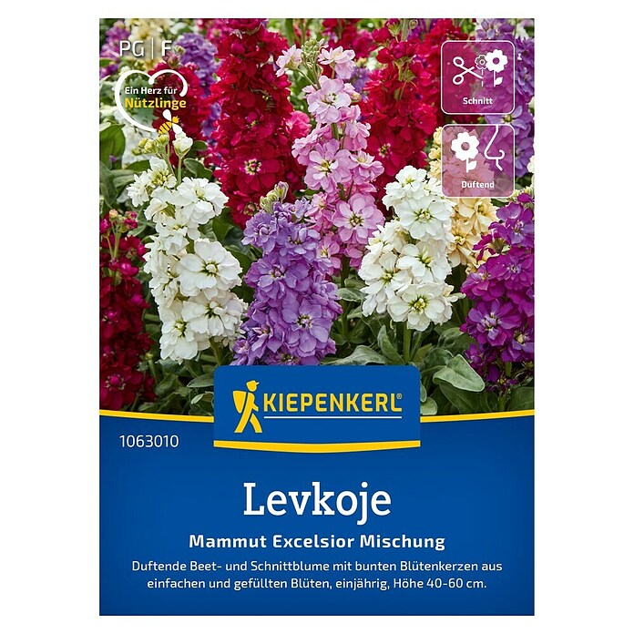 Kiepenkerl Profi-Line Blumensamen Levkoje (Matthiola incana) | BAUHAUS