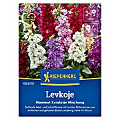 Kiepenkerl Profi-Line Blumensamen Levkoje (Matthiola incana) | BAUHAUS