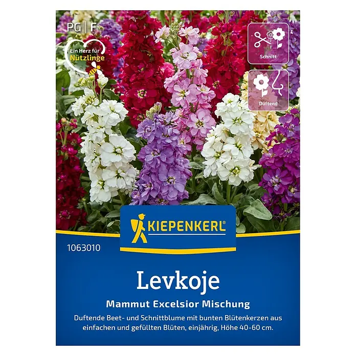 Kiepenkerl Profi-Line Blumensamen Levkoje - Matthiola incana - Samenpackung Levkoje Mammut Excelsior Mischung. Duftende Beet- und Schnittblume mit bunten Blütenkerzen, Höhe 40–60 cm.