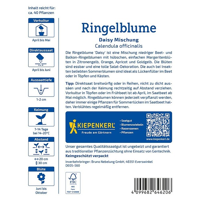 Kiepenkerl Profi-Line Blumensamen Ringelblume Daisy (Calendula officinalis, Inhalt reicht für ca. 40 Pflanzen, Gelb) | BAUHAUS