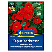 Kiepenkerl Kräutersamen Kapuzinerkresse (Tropaeolum minus, Saatzeit: April) | BAUHAUS