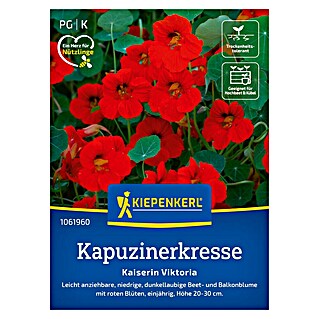Kiepenkerl Kräutersamen Kapuzinerkresse (Tropaeolum minus, Saatzeit: April)