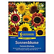 Kiepenkerl Profi-Line Blumensamen Sonnenblume Fantasia (Helianthus annuus, Mehrfarbig) | BAUHAUS