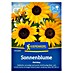 Kiepenkerl Profi-Line Blumensamen Sonnenblume Holiday 