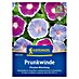Kiepenkerl Profi-Line Blumensamen Prunkwinde 