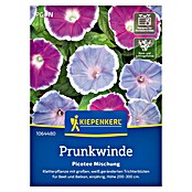Kiepenkerl Profi-Line Blumensamen Prunkwinde (Ipomoea purpurea, Mehrfarbig) | BAUHAUS