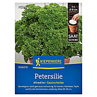 Kiepenkerl Profi-Line Kräutersamen Petersilie Afrodite Saatscheibe (Petroselinum crispum var. crispum, Erntezeit: Ganzjährig)
