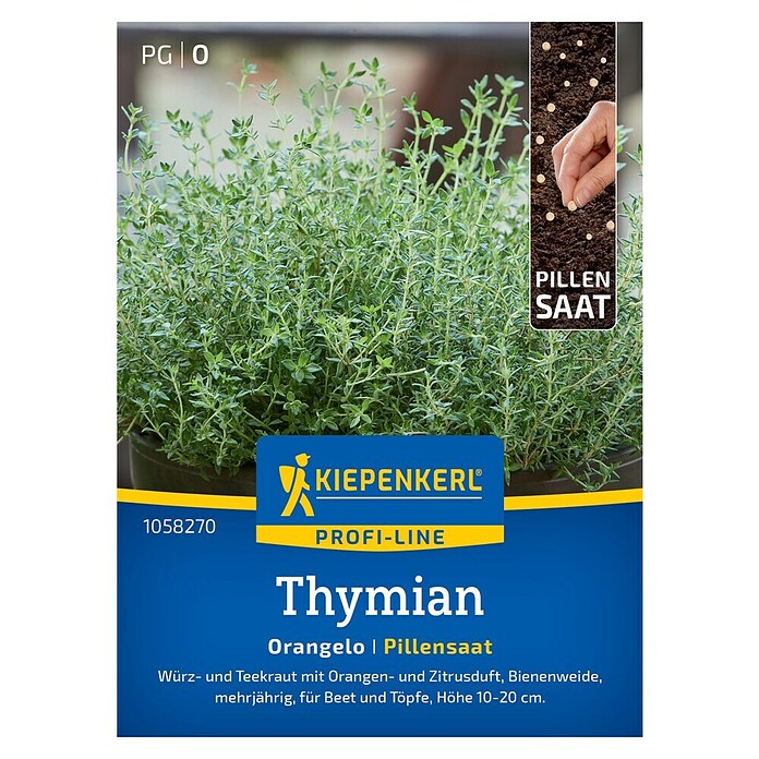 Kiepenkerl Profi-Line Kräutersamen Thymian (Thymus fragrantissimus, Saatzeit: März, Erntezeit: Mai) | BAUHAUS