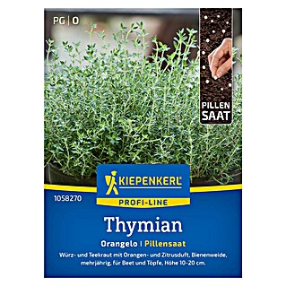 Kiepenkerl Profi-Line Kräutersamen Thymian (Thymus fragrantissimus, Saatzeit: März, Erntezeit: Mai)