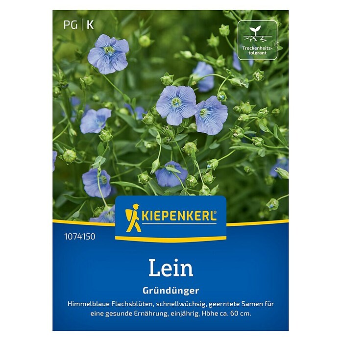 Kiepenkerl Gründüngung Lein Blauer Flachs (Linum usitatissimum, 8 m² - 10 m²) | BAUHAUS