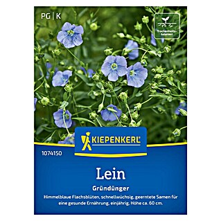 Kiepenkerl Gründüngung Lein Blauer Flachs (Linum usitatissimum, 8 m² - 10 m²)