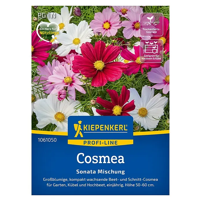 Kiepenkerl Profi-Line Blumensamen Cosmea - Cosmos bipinnatus, Mehrfarbig - Cosmea 'Sonata Mischung' Samenpackung von Kiepenkerl, ideal für farbenfrohe Blumenbeete und als Schnittblume, Höhe 50-60cm.